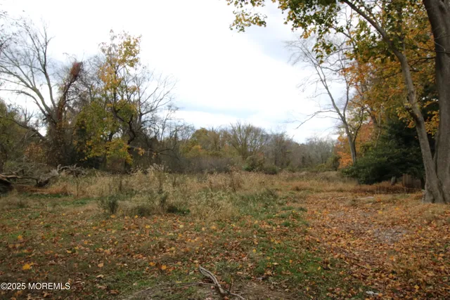a view of a yard with trees