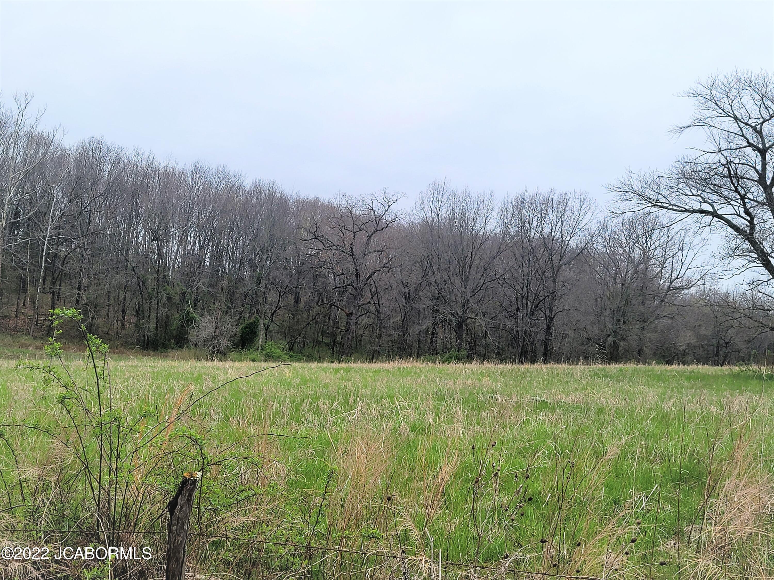 Tbd Woods Crossing Road California, MO 65018 - Photo 1 of 1
