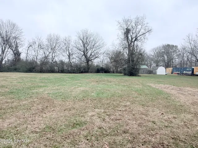 a view of a field with trees in the background
