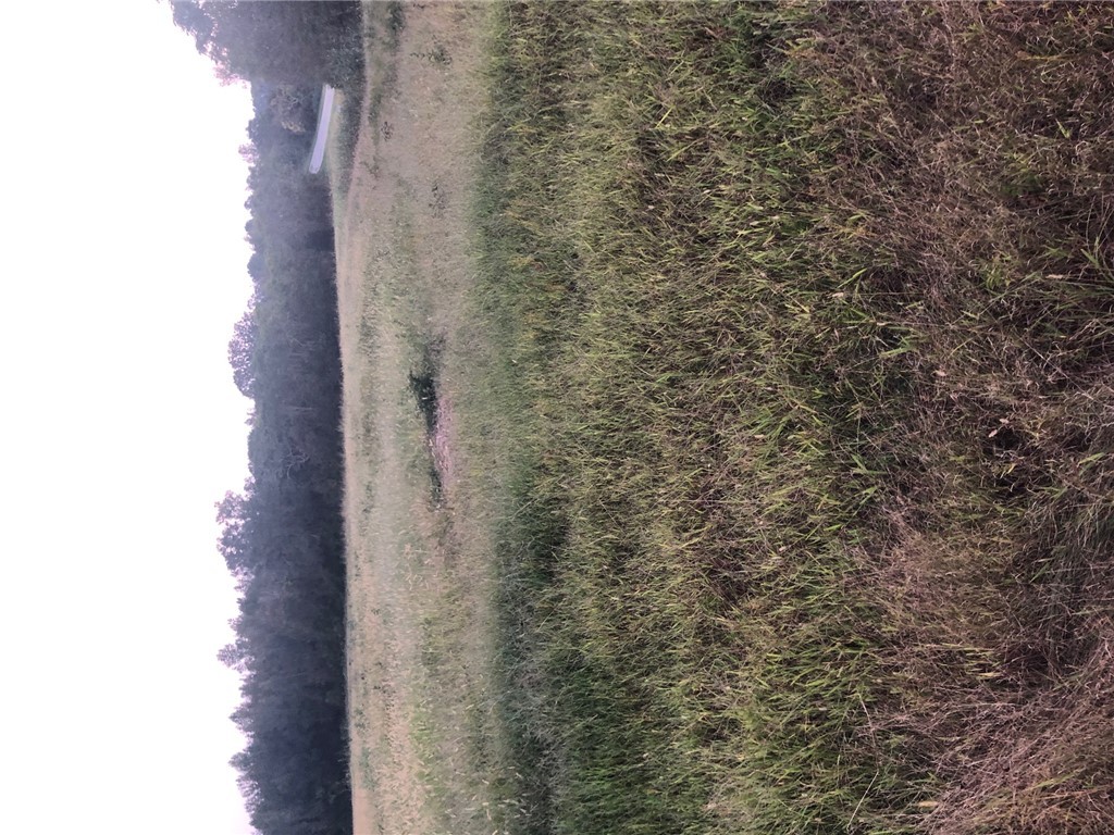 Lot 2 Burdette Road Iva, SC 29655 - Photo 1 of 1