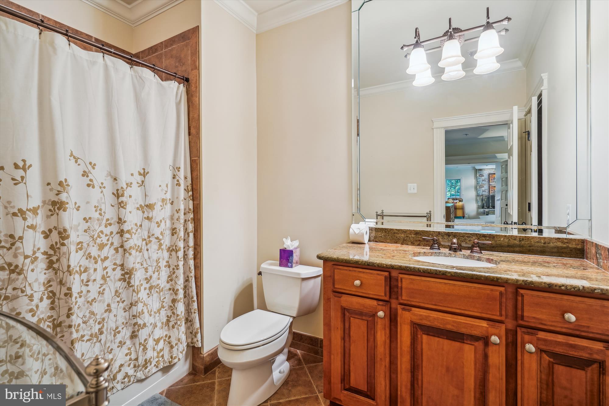 7811 Langley Ridge Road McLean, VA 22102 - Photo 64 of 78 Lower Level Bath