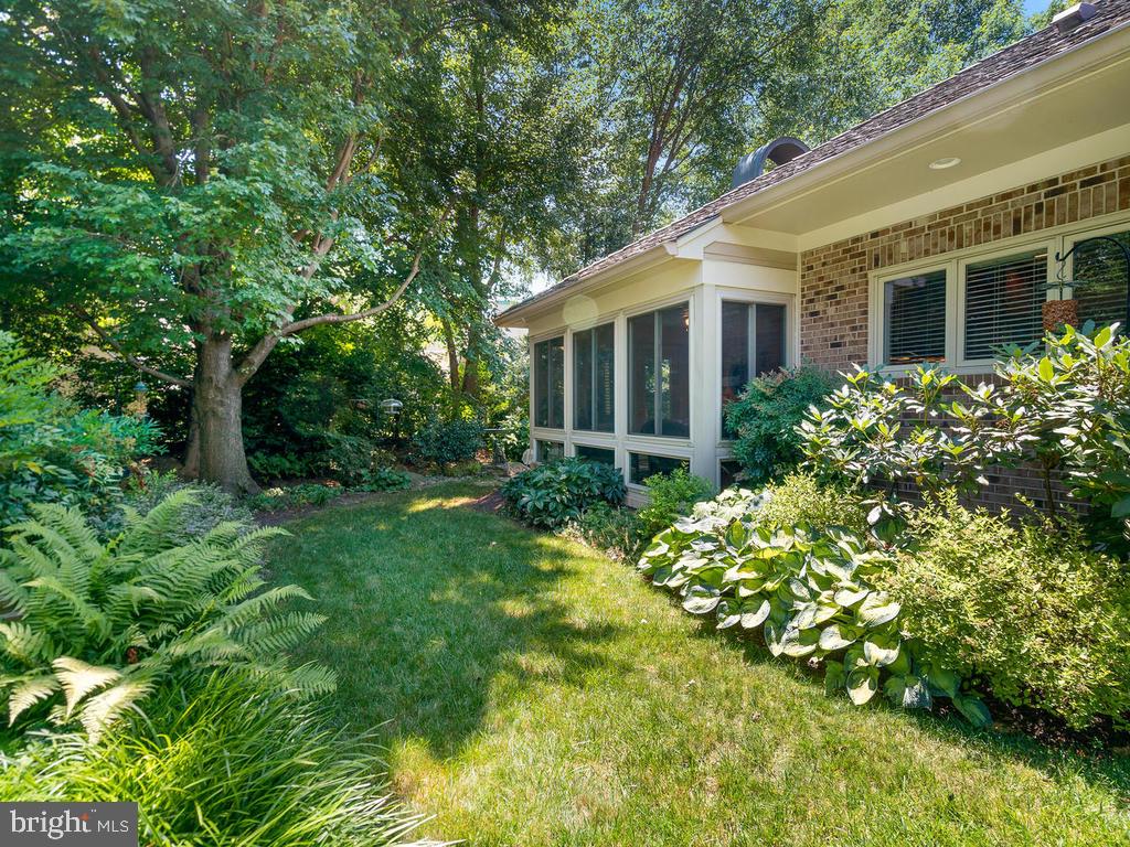 Landscaped side yard