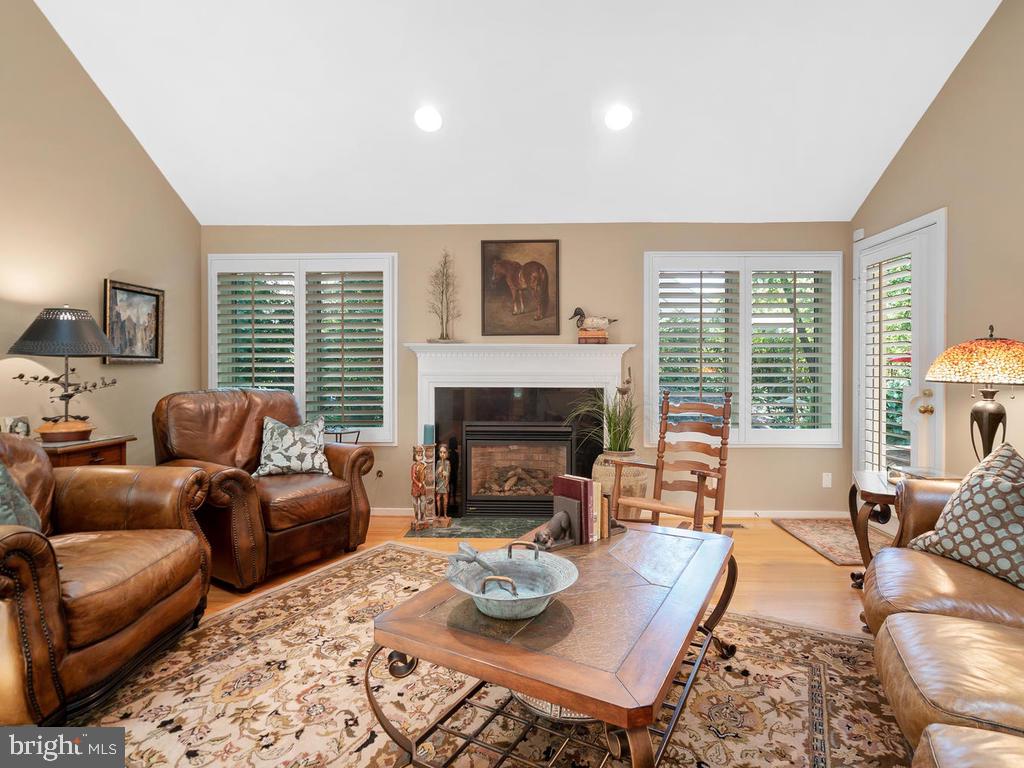 1423 Belcastle Court Reston, VA 20194 - Photo 22 of 49 FR Gas Fireplace flanked by large windows