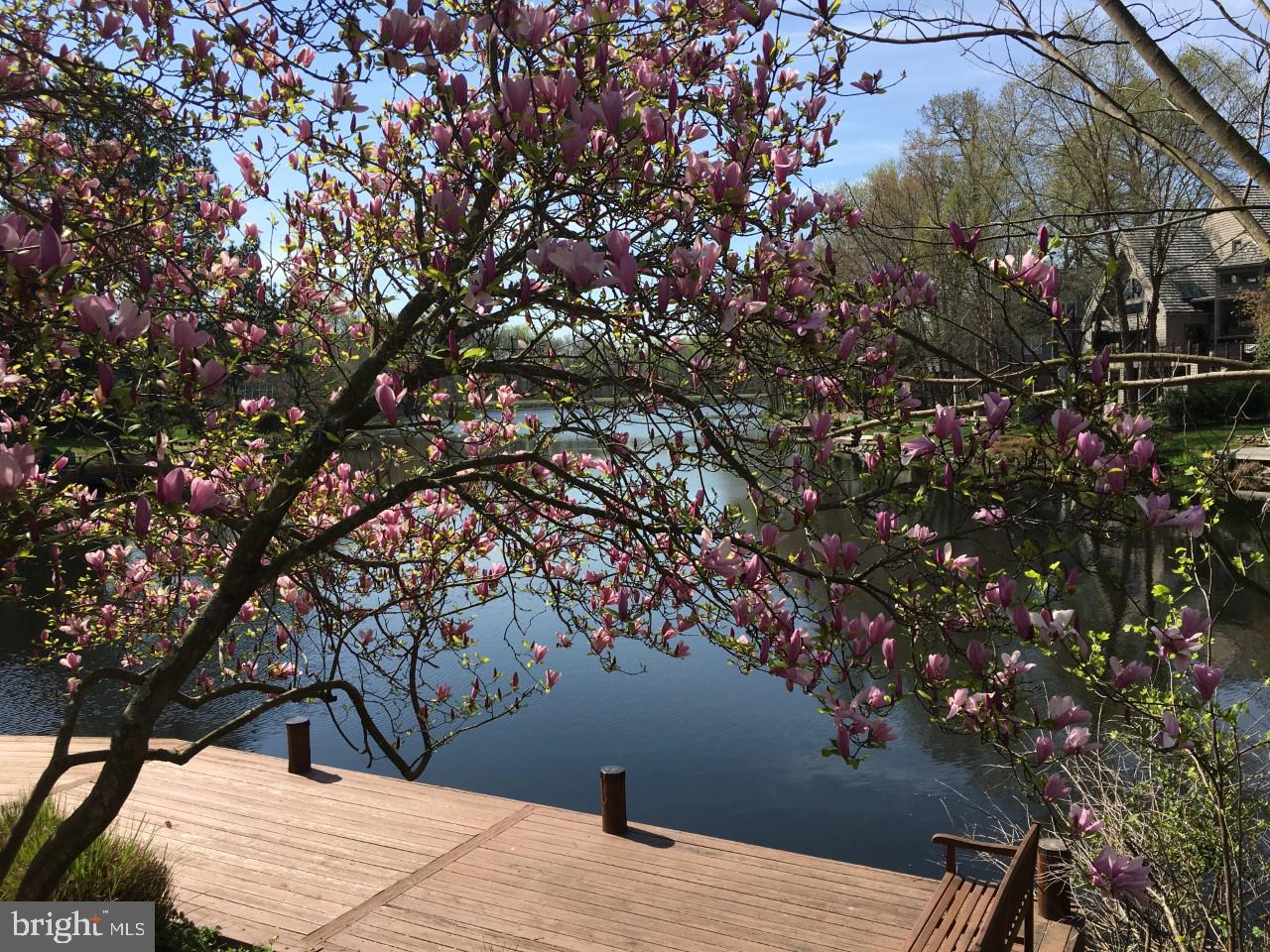 1423 Belcastle Court Reston, VA 20194 - Photo 46 of 49 Cluster Dock