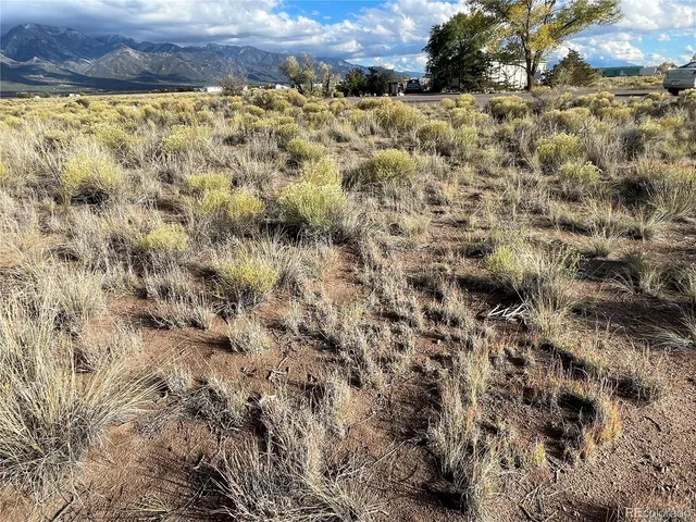 a view of a dry yard with trees