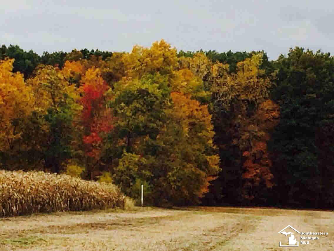11240 South Custer Road Monroe, MI 48161 - Photo 30 of 37