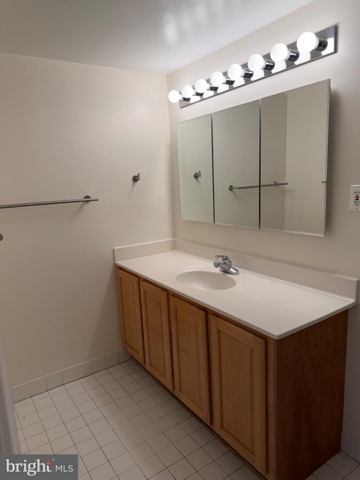 5225 Pooks Hill Road, Unit C29N Bethesda, MD 20814 - Photo 20 of 54 a bathroom with a sink and a mirror