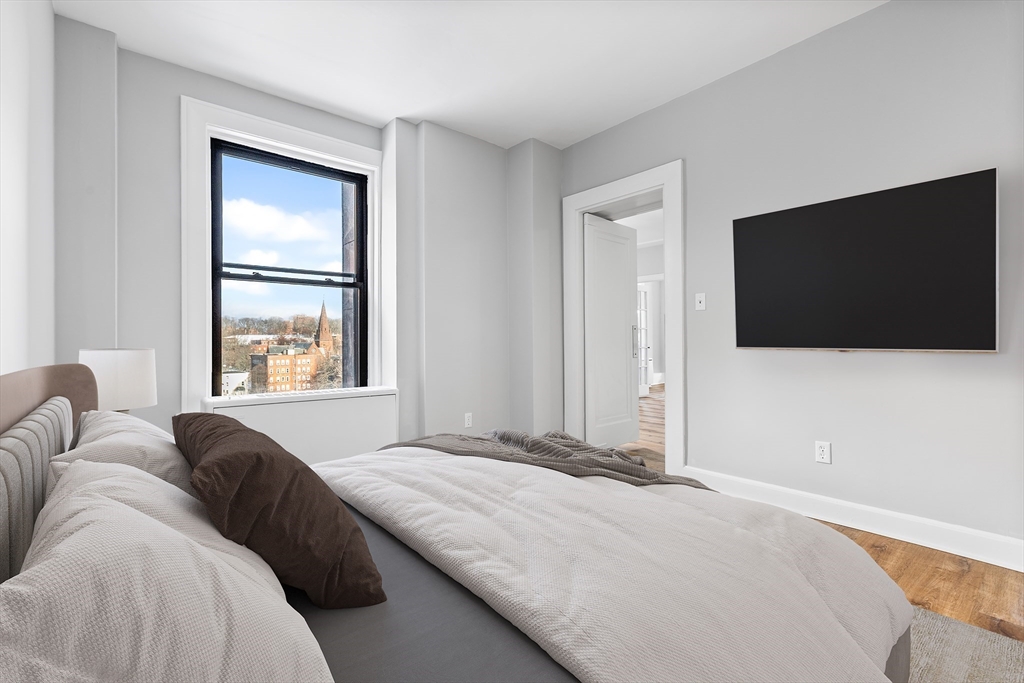 140 Chestnut Street, Unit 619 Springfield, MA 01103 - Photo 7 of 10