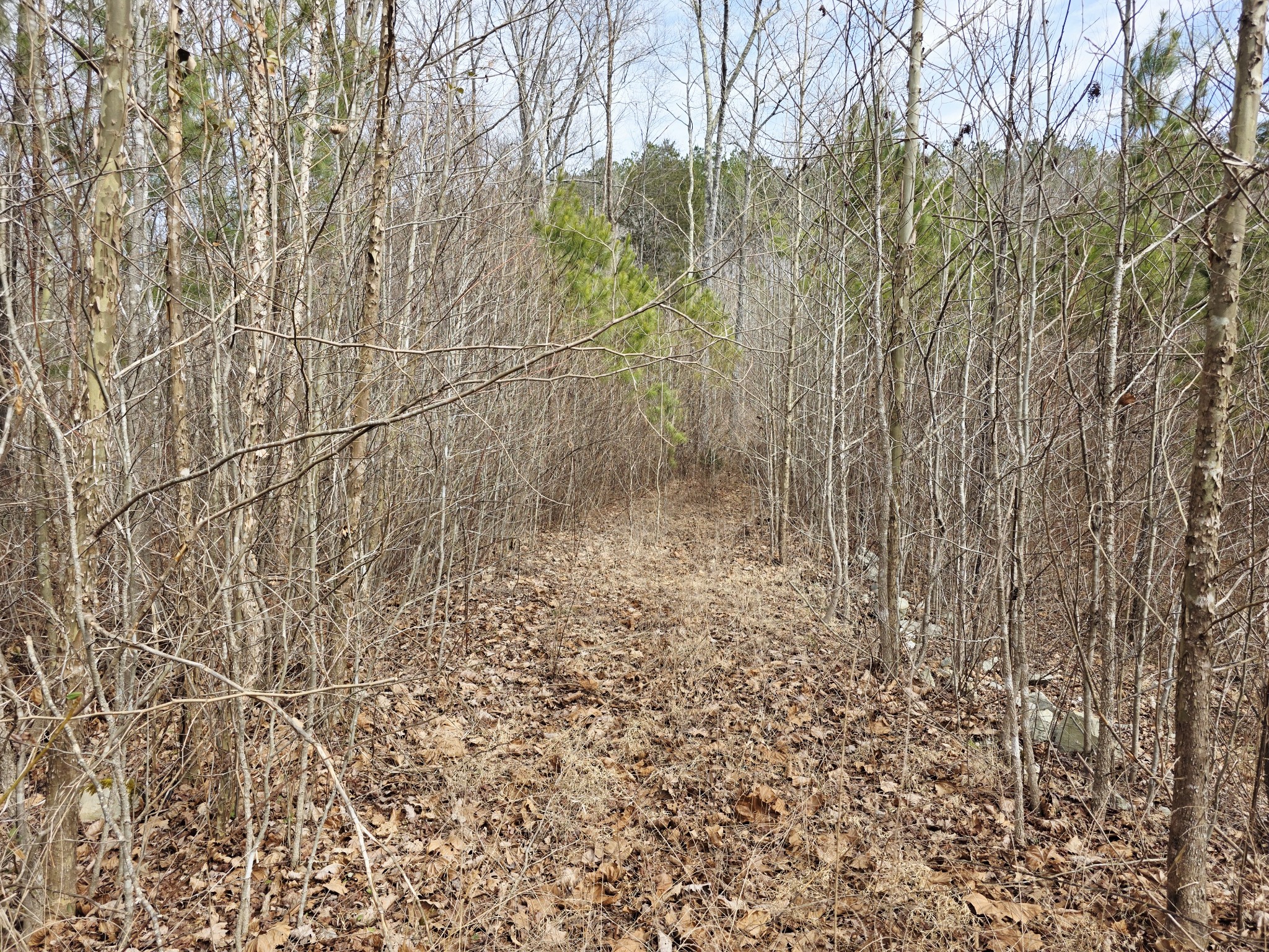 0 Birdsong Road Holladay, TN 38341 - Photo 26 of 70