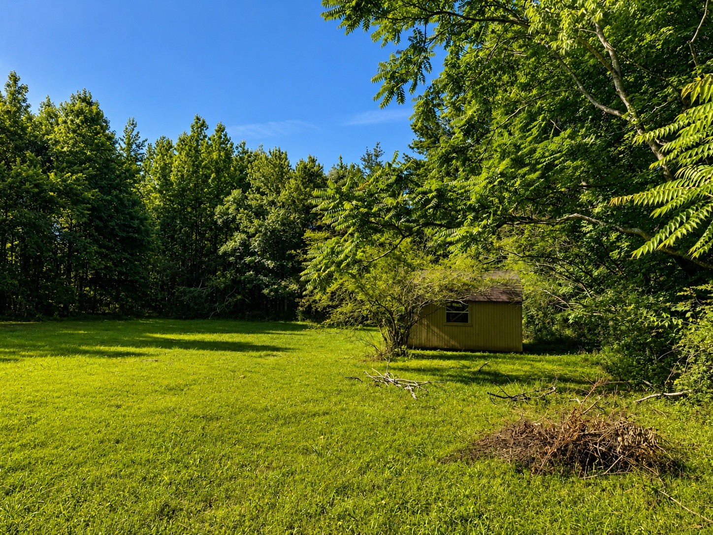 6727 Tinnin Road Greenbrier, TN 37073 - Photo 5 of 24