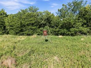 3815 Wills Point Wills Point, TX 75169 - Photo 11 of 19 Deer feeder conveys with the sale