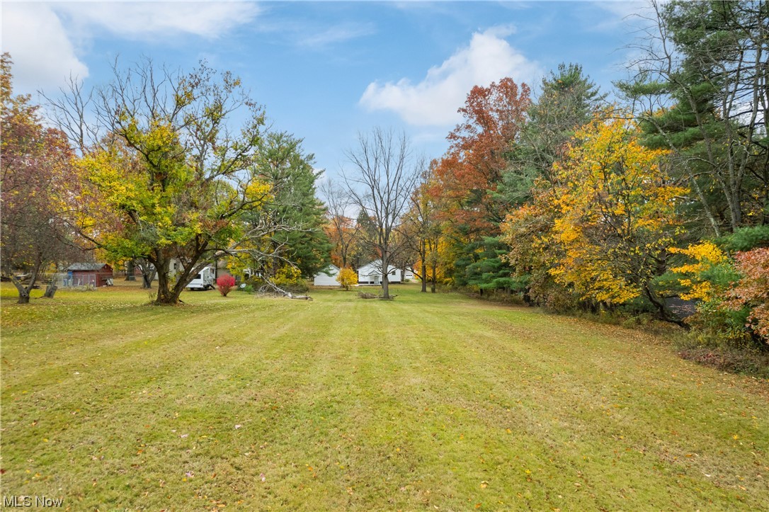916 Renninger Road Akron, OH 44319 - Photo 30 of 31 View of yard