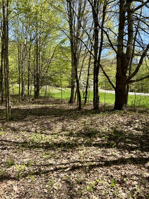 1 Katie Crotch Road Embden, ME 04958 - Photo 11 of 22 IMG_7191