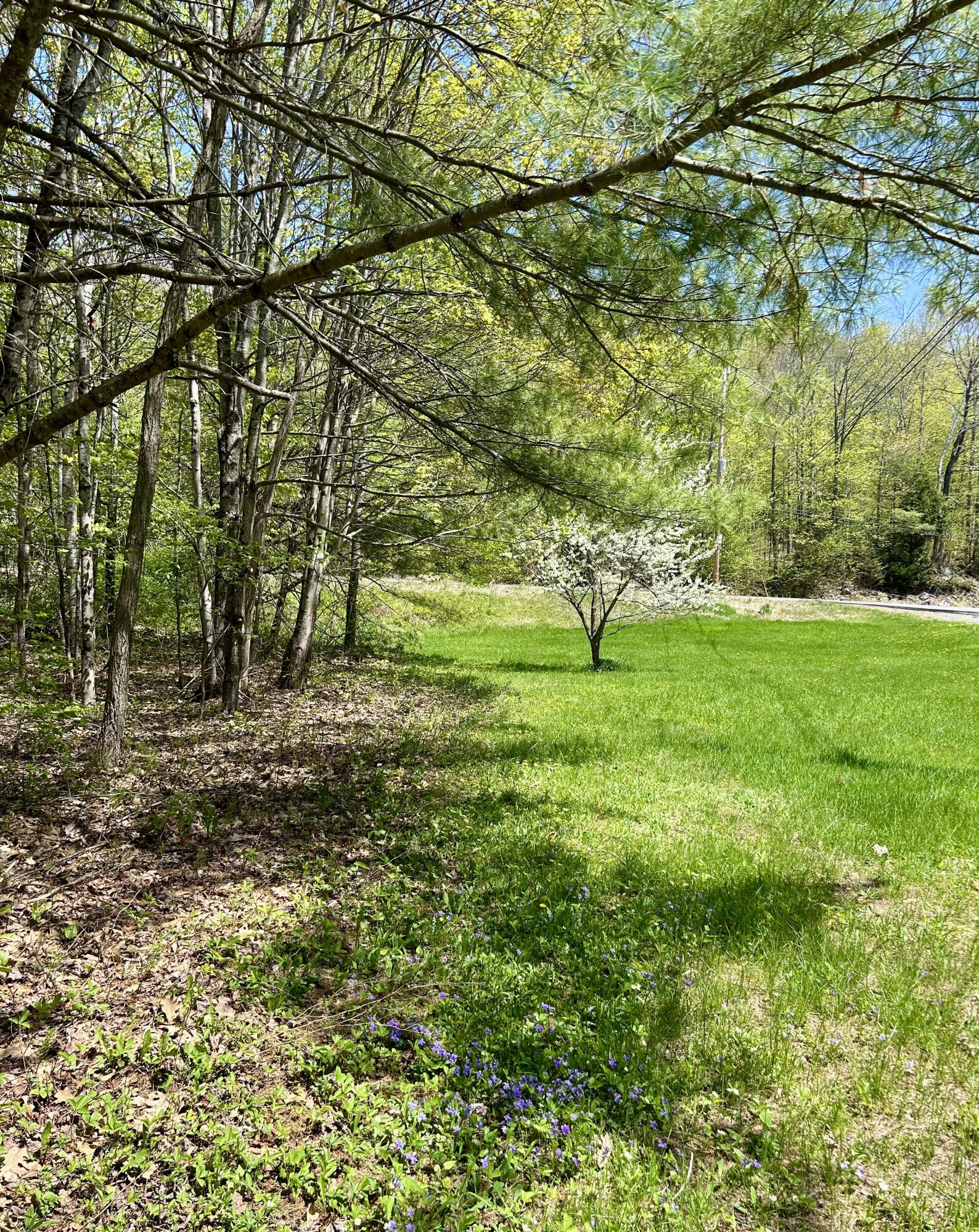 1 Katie Crotch Road Embden, ME 04958 - Photo 12 of 22 IMG_7192