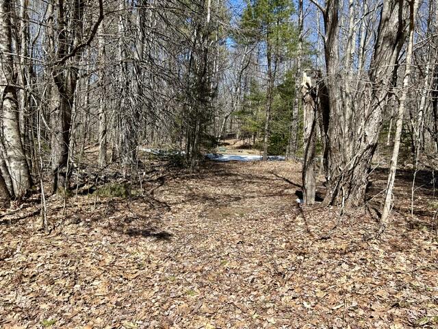 1 Katie Crotch Road Embden, ME 04958 - Photo 13 of 22 IMG_7123