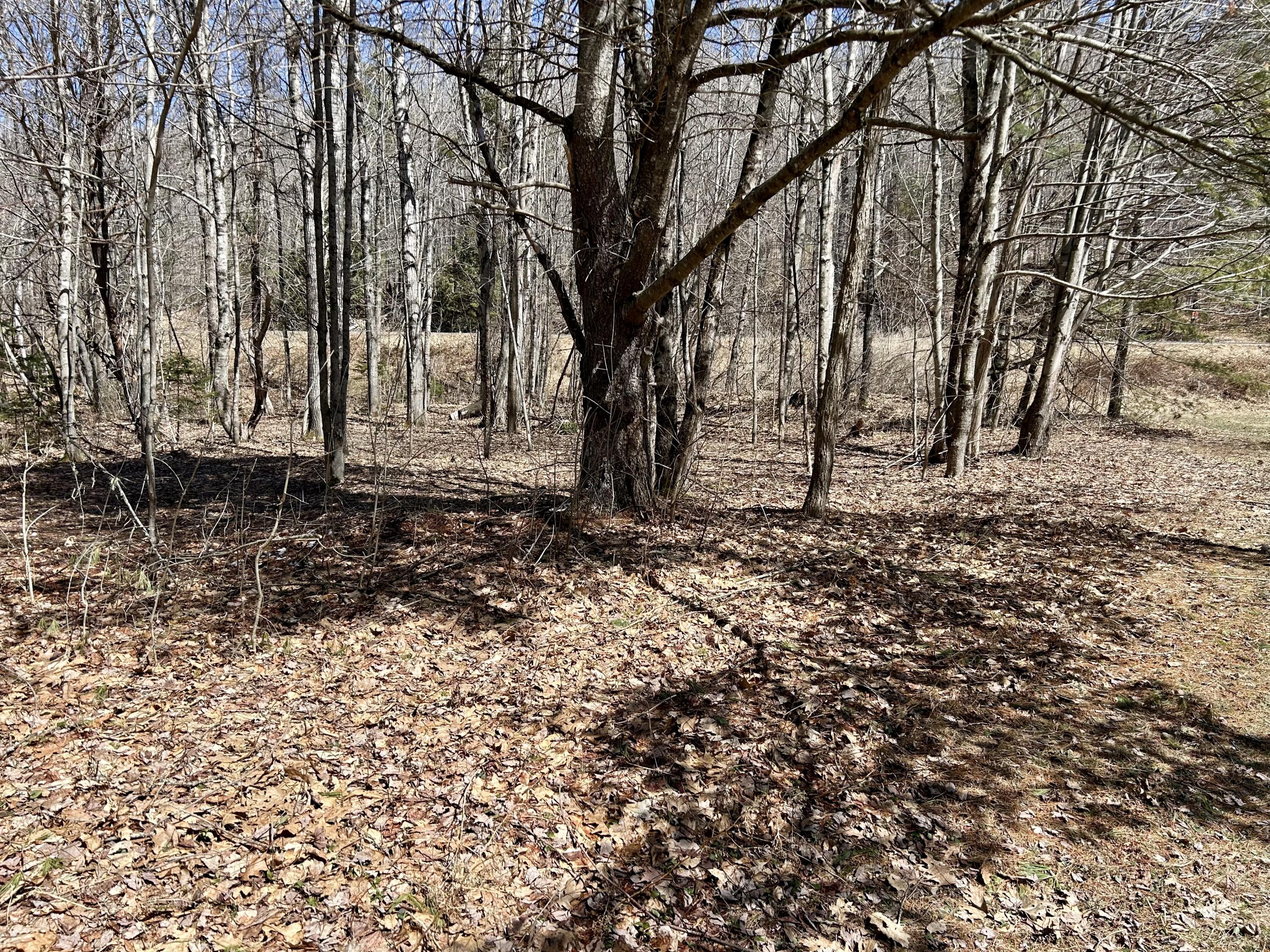 1 Katie Crotch Road Embden, ME 04958 - Photo 17 of 22 IMG_7121