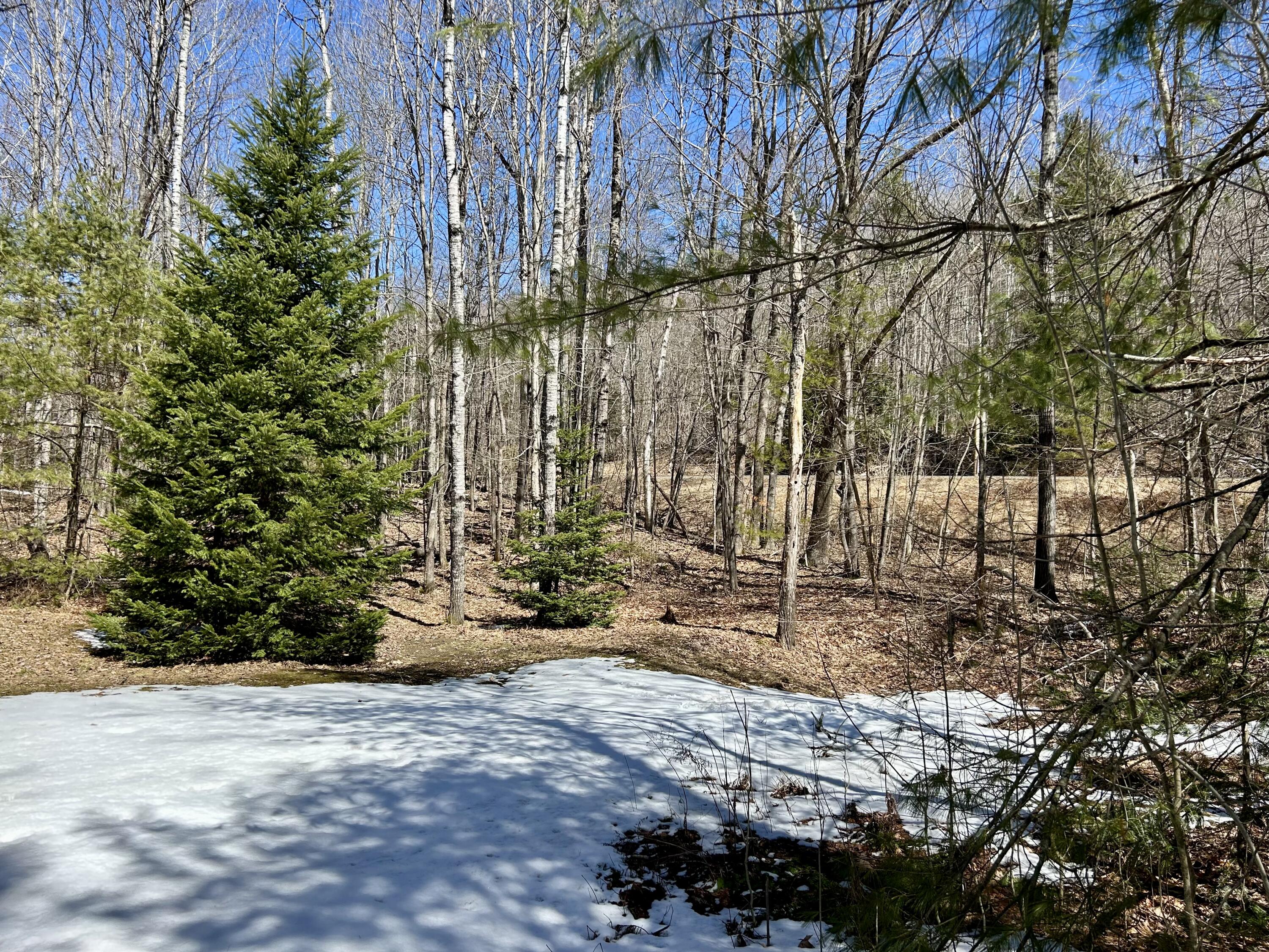 1 Katie Crotch Road Embden, ME 04958 - Photo 18 of 22 IMG_7127