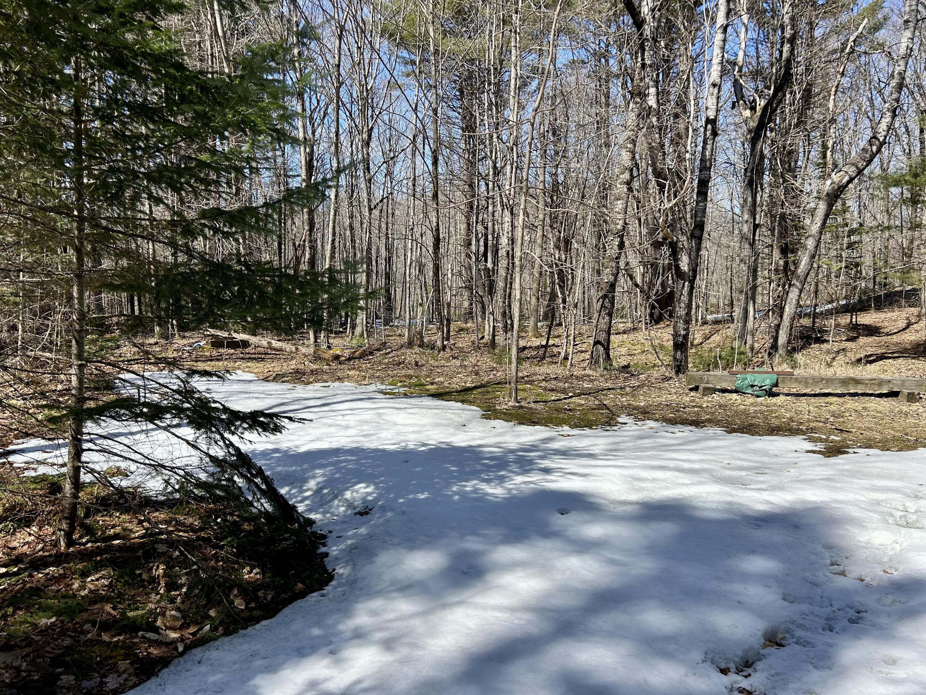 1 Katie Crotch Road Embden, ME 04958 - Photo 19 of 22 IMG_7128