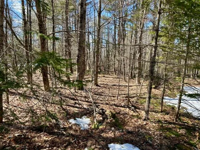 $59,900 | 1 Katie Crotch Road, Embden, ME 04958