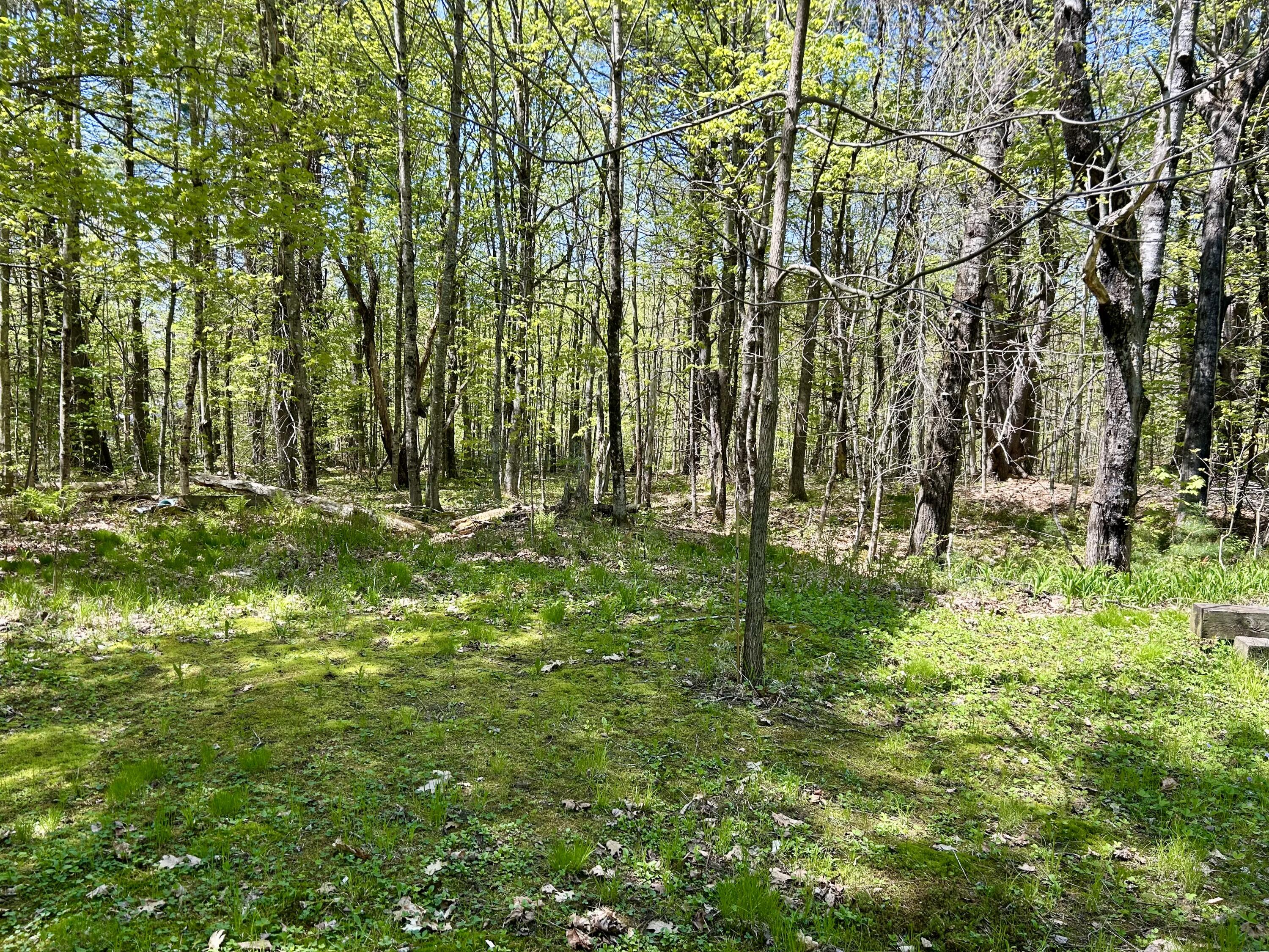 1 Katie Crotch Road Embden, ME 04958 - Photo 4 of 22 IMG_7184