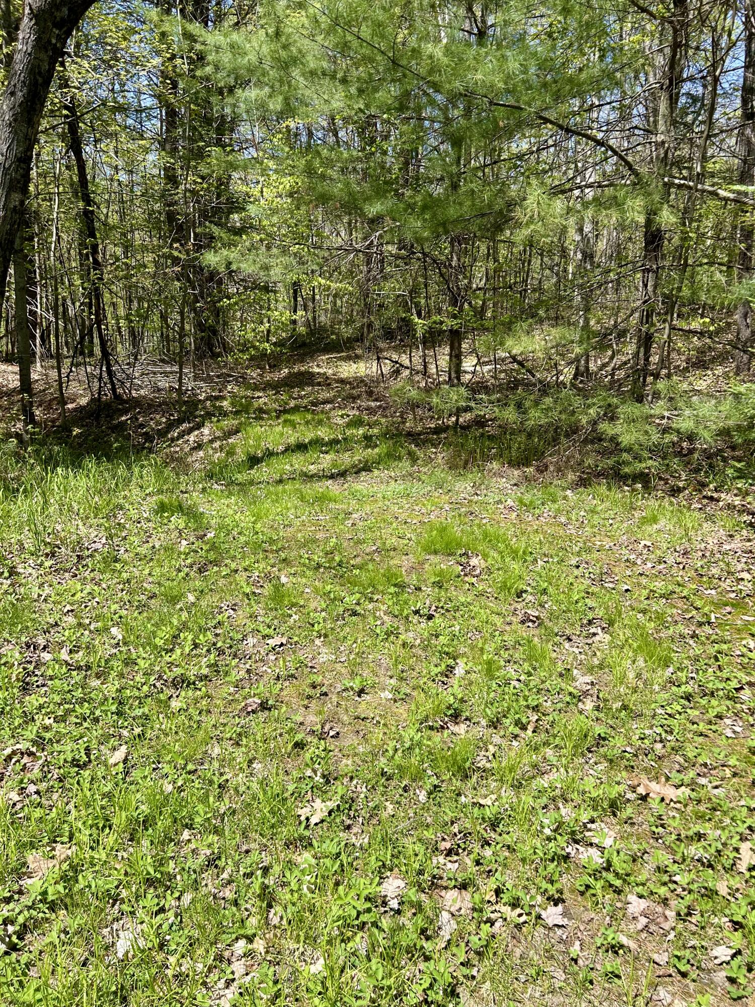 1 Katie Crotch Road Embden, ME 04958 - Photo 6 of 22 IMG_7186