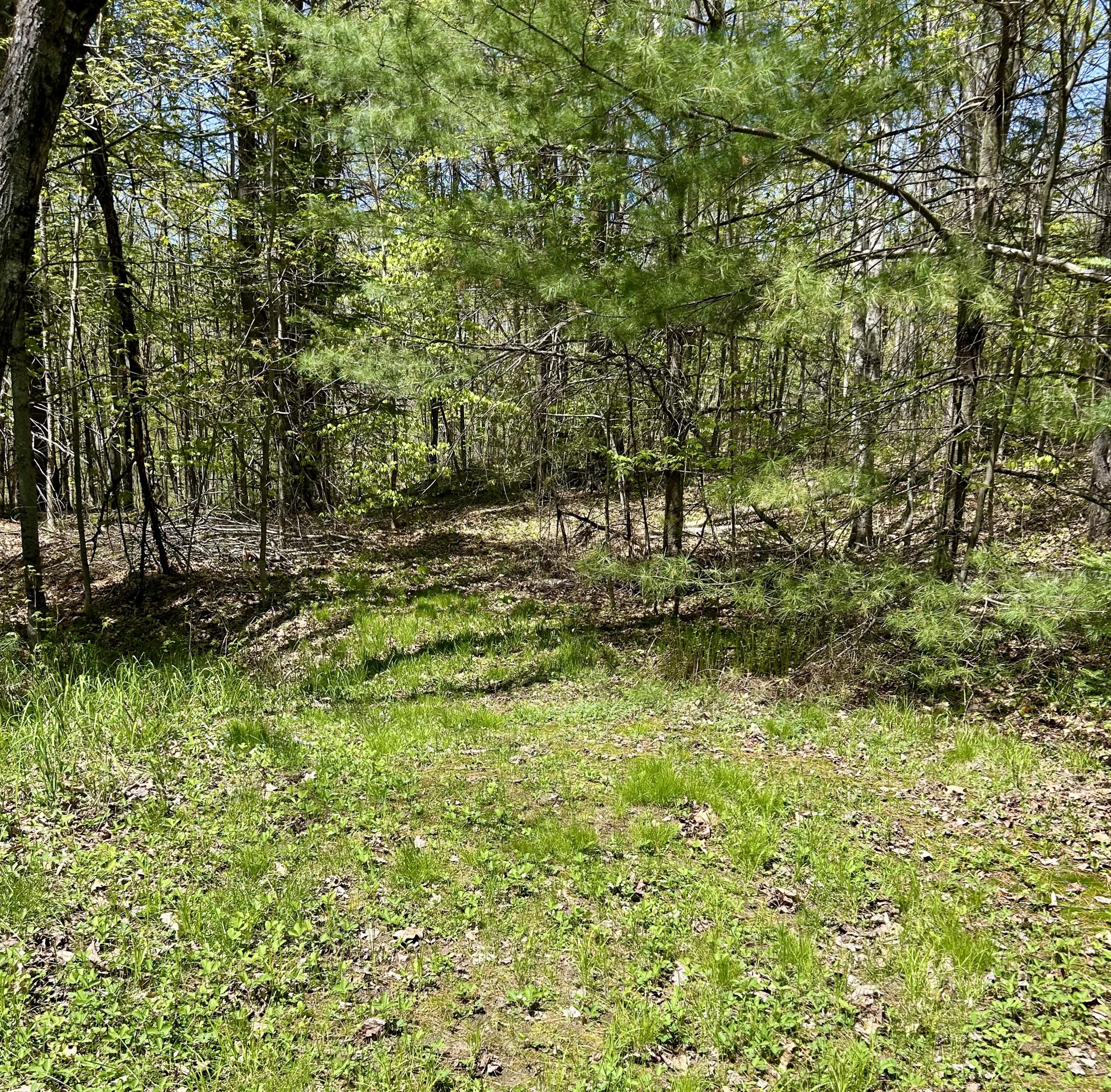 1 Katie Crotch Road Embden, ME 04958 - Photo 7 of 22 IMG_7187