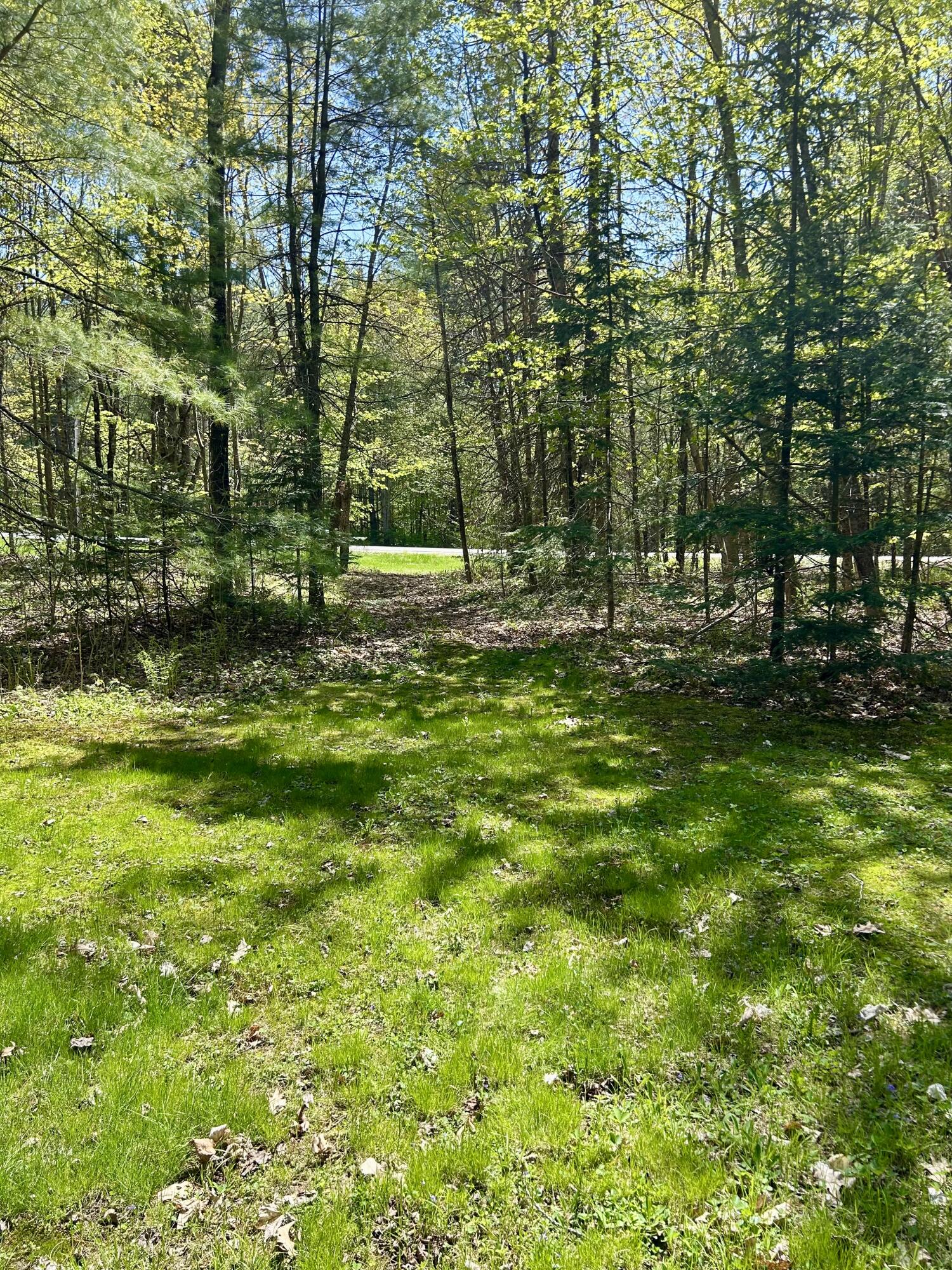 1 Katie Crotch Road Embden, ME 04958 - Photo 8 of 22 IMG_7188