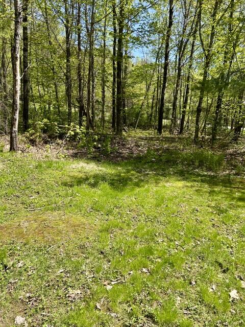 1 Katie Crotch Road Embden, ME 04958 - Photo 10 of 22 IMG_7190