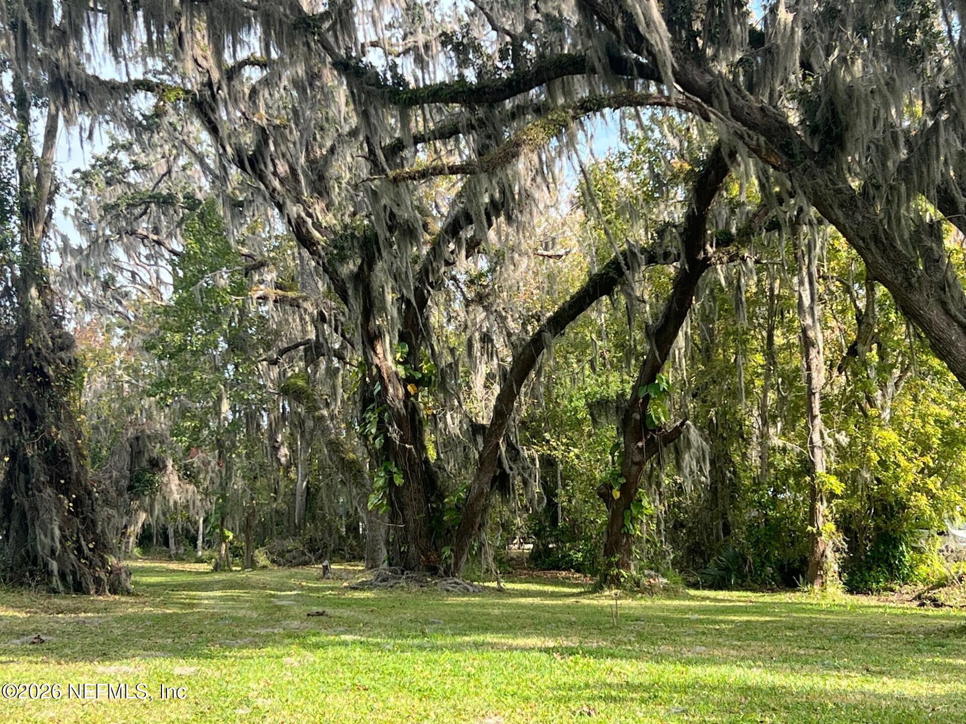 8379 Colee Cove Road St. Augustine, FL 32092 - Photo 2 of 6 View of River To Street