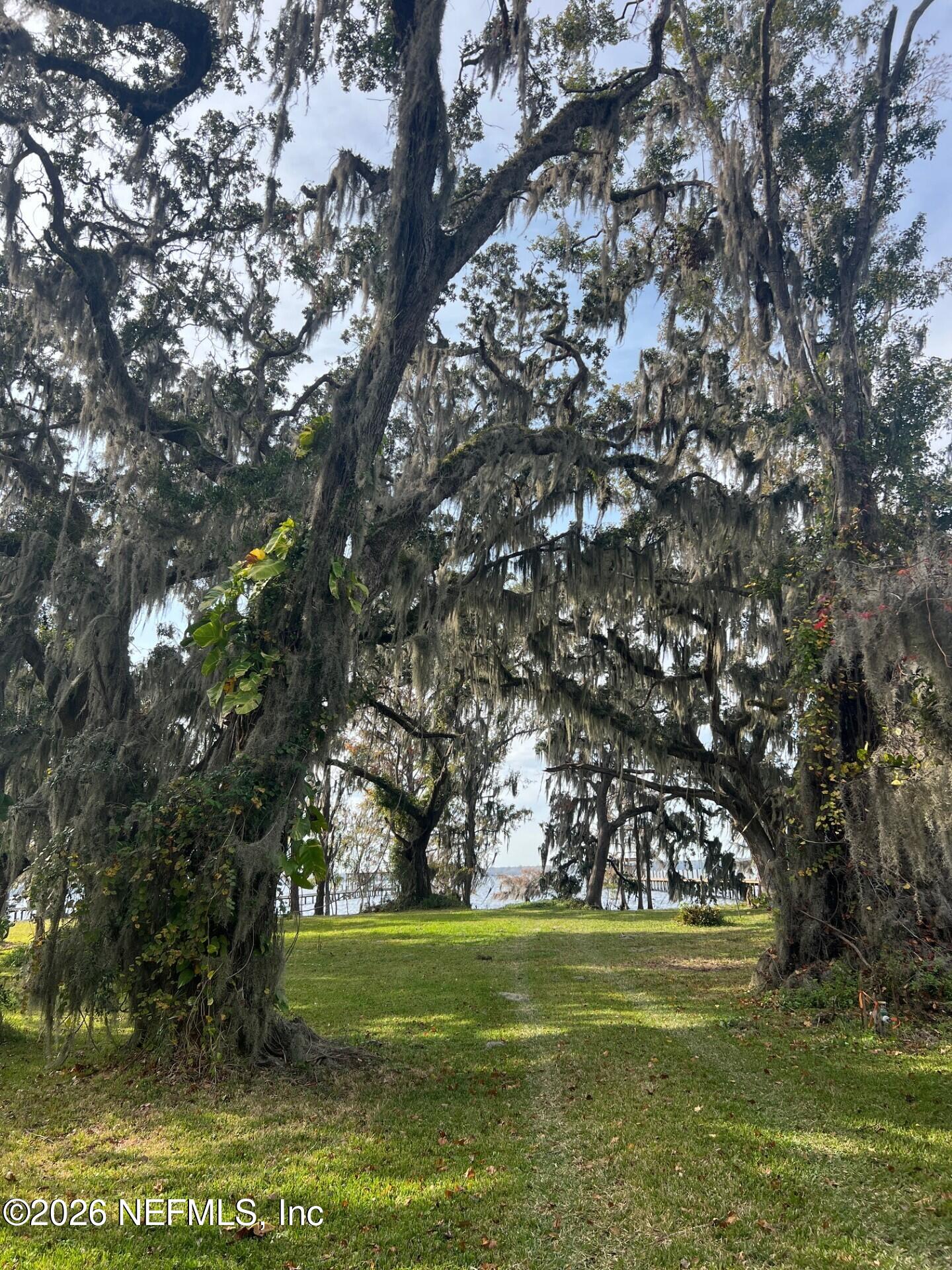 8379 Colee Cove Road St. Augustine, FL 32092 - Photo 4 of 6 View of Lot 3