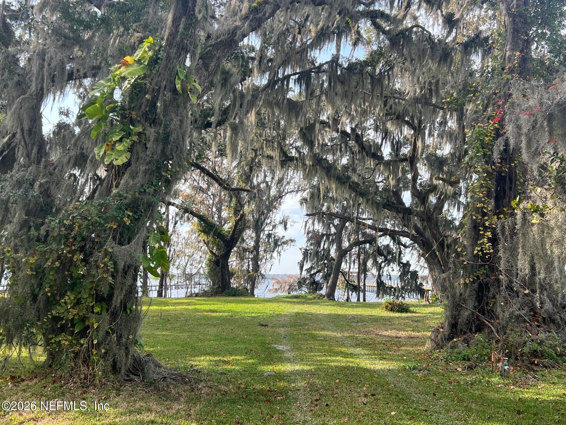 8379 Colee Cove Road St. Augustine, FL 32092 - Photo 5 of 6 View of Lot 4