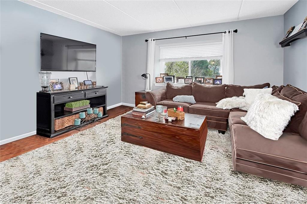 Living room with wood-look flooring