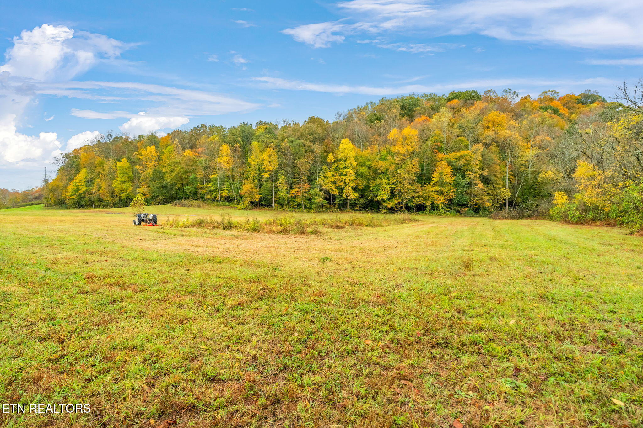 732 North Wooddale Road Knoxville, TN 37924 - Photo 12 of 19 8-web-or-mls-732 Wooddale Road-9
