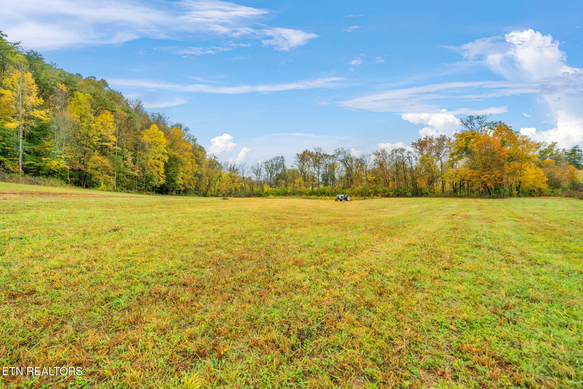 732 North Wooddale Road Knoxville, TN 37924 - Photo 13 of 19 10-web-or-mls-732 Wooddale Road-11