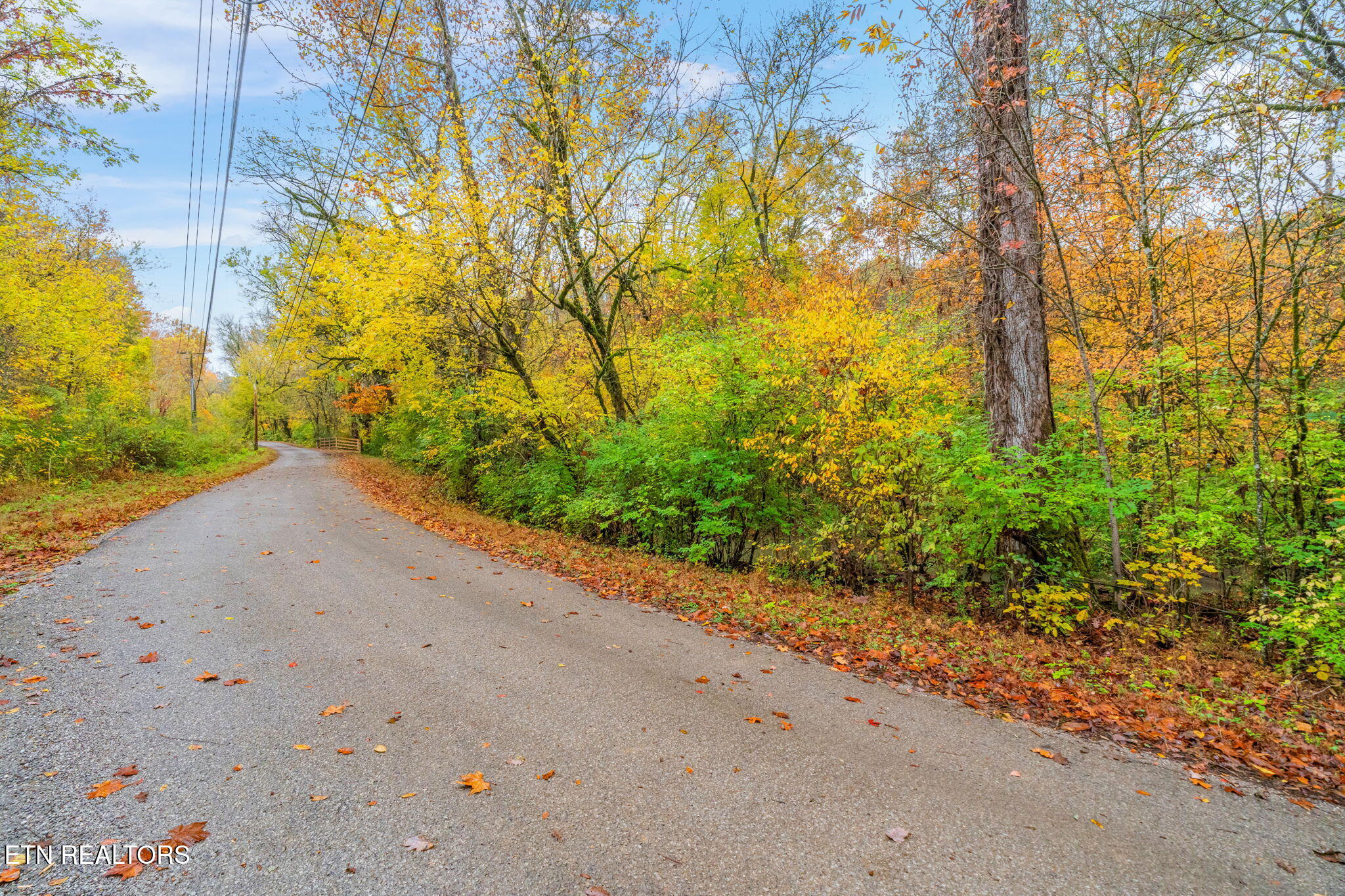 732 North Wooddale Road Knoxville, TN 37924 - Photo 19 of 19 23-web-or-mls-732 Wooddale Road-24