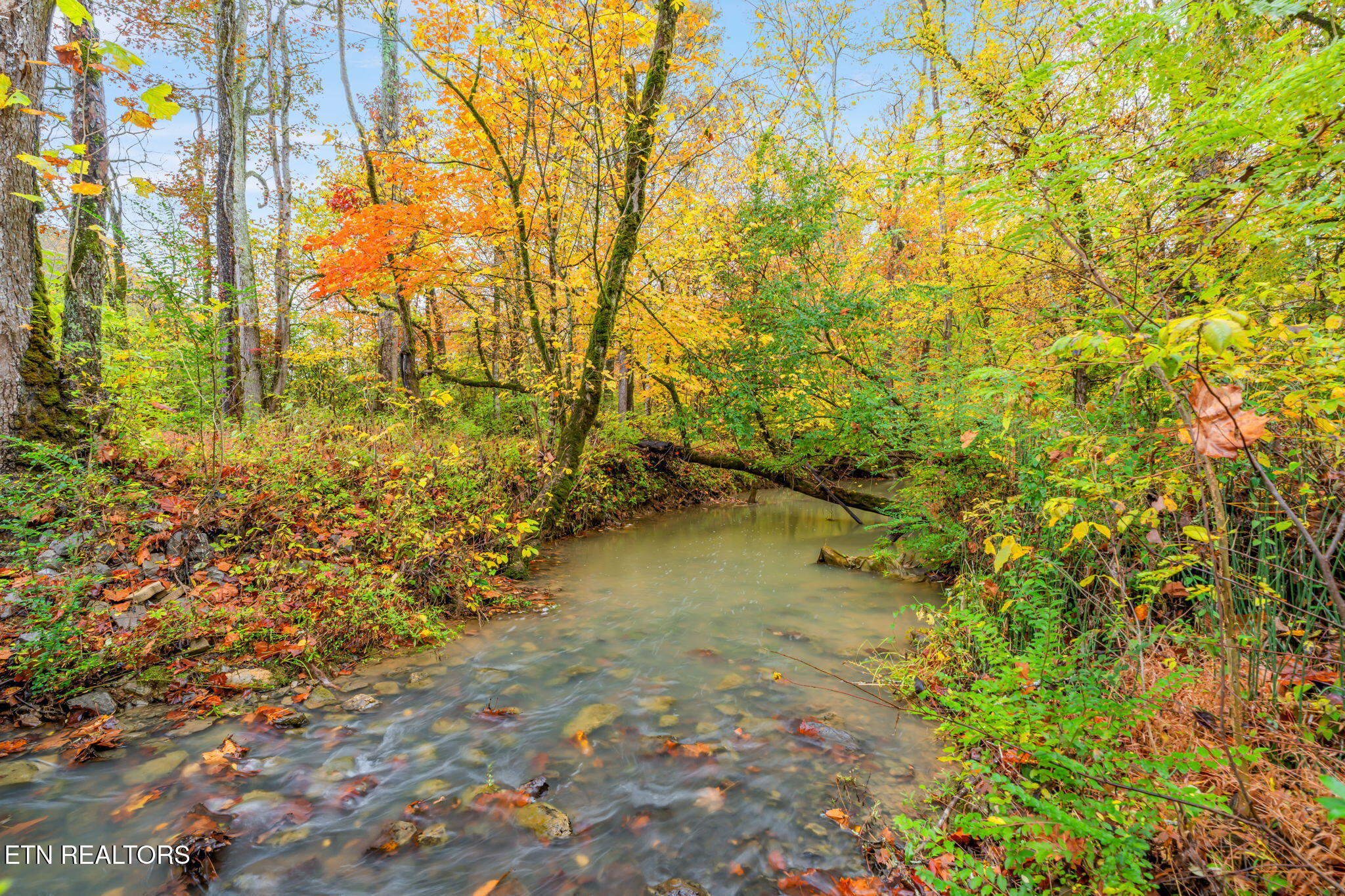 732 North Wooddale Road Knoxville, TN 37924 - Photo 4 of 19 19-web-or-mls-732 Wooddale Road-20