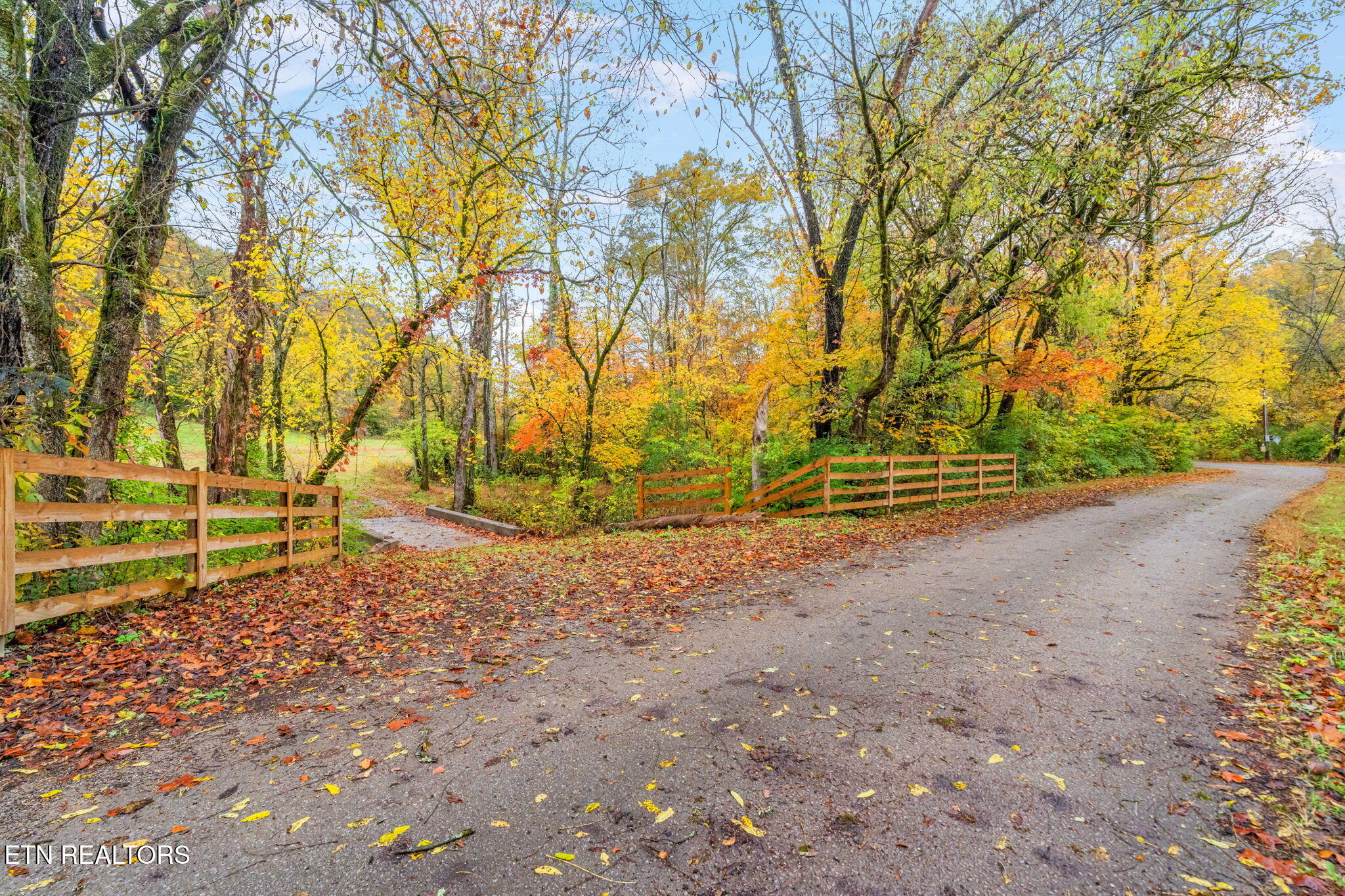 732 North Wooddale Road Knoxville, TN 37924 - Photo 6 of 19 21-web-or-mls-732 Wooddale Road-22