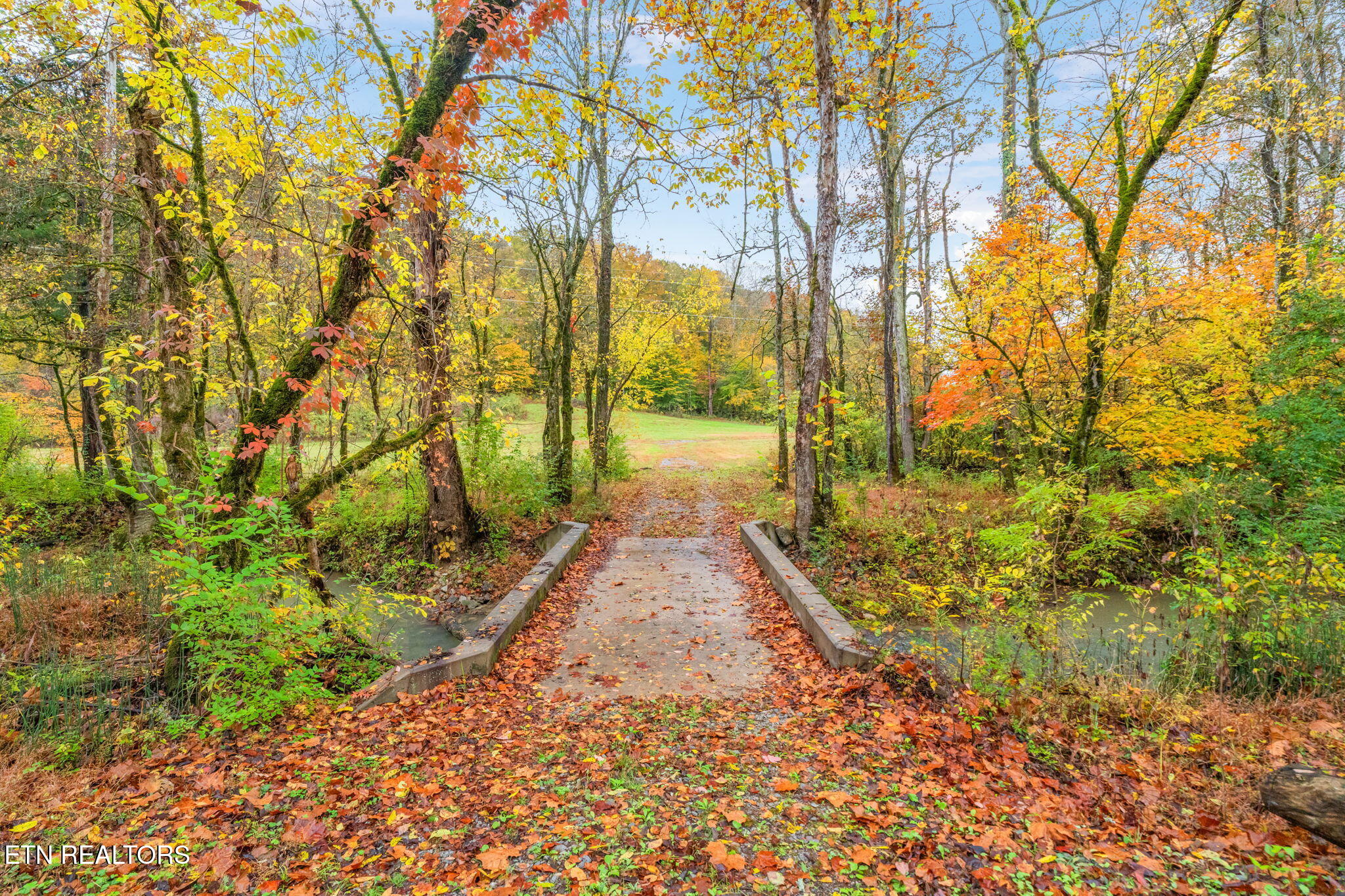 732 North Wooddale Road Knoxville, TN 37924 - Photo 7 of 19 20-web-or-mls-732 Wooddale Road-21