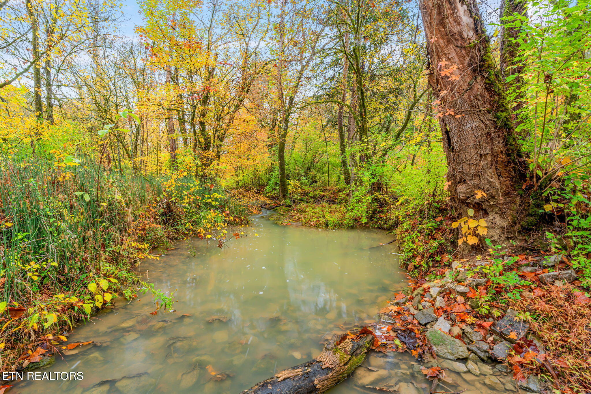 732 North Wooddale Road Knoxville, TN 37924 - Photo 8 of 19 18-web-or-mls-732 Wooddale Road-19