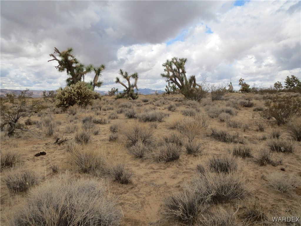 11844 South Desert View Road Yucca, AZ 86438 - Photo 8 of 11 Other