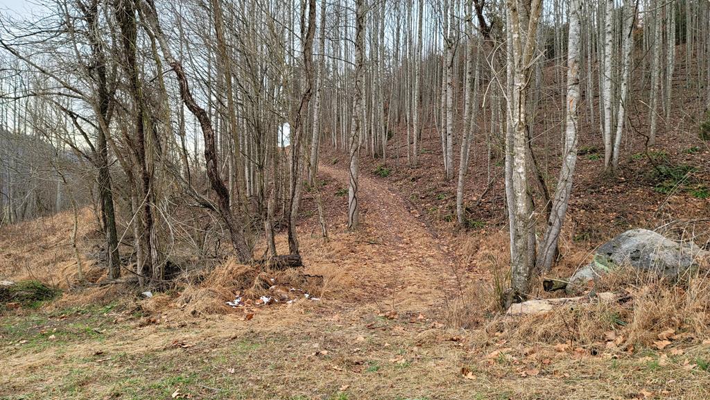 Tbd Mendota Road, Unit 5 & 6 Abingdon, VA 24210 - Photo 12 of 42 Gallery Image 12