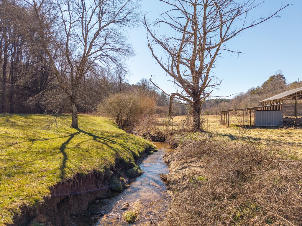 7589 Tails Creek Road Ellijay, GA 30540 - Photo 18 of 44 a view of a house with a yard