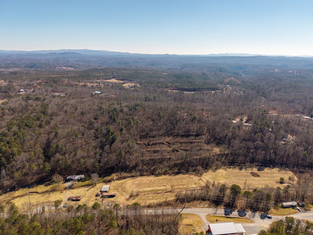 7589 Tails Creek Road Ellijay, GA 30540 - Photo 20 of 44 a view of a yard