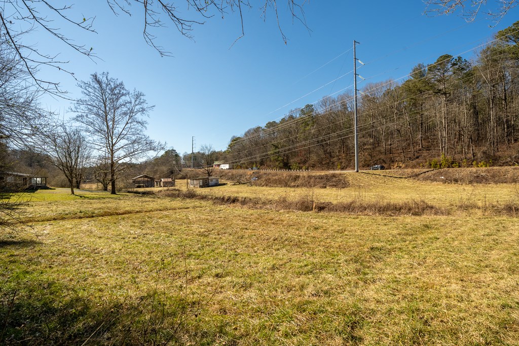 7589 Tails Creek Road Ellijay, GA 30540 - Photo 2 of 44 a view of pool view