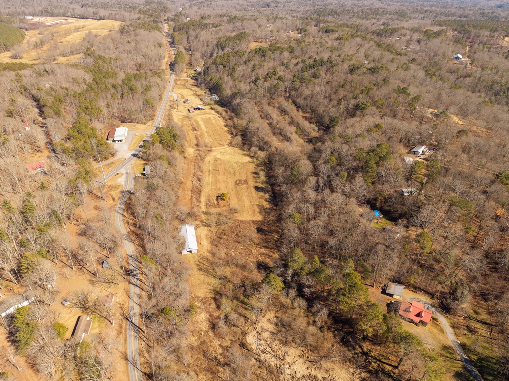 7589 Tails Creek Road Ellijay, GA 30540 - Photo 23 of 44 a close up of a tree