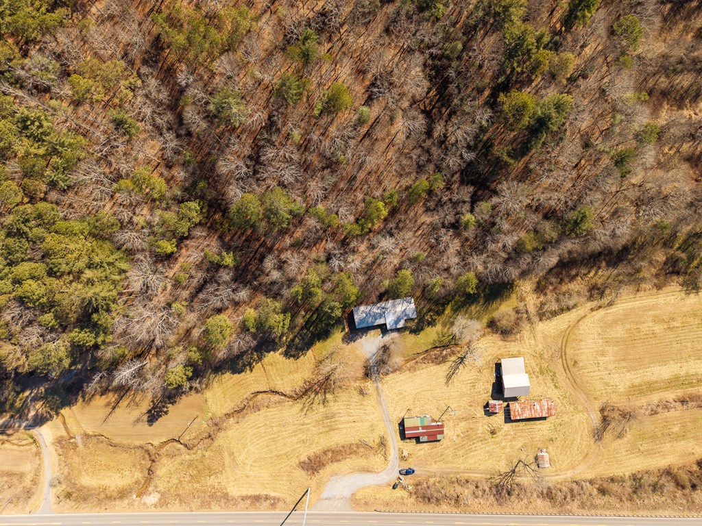 7589 Tails Creek Road Ellijay, GA 30540 - Photo 26 of 44