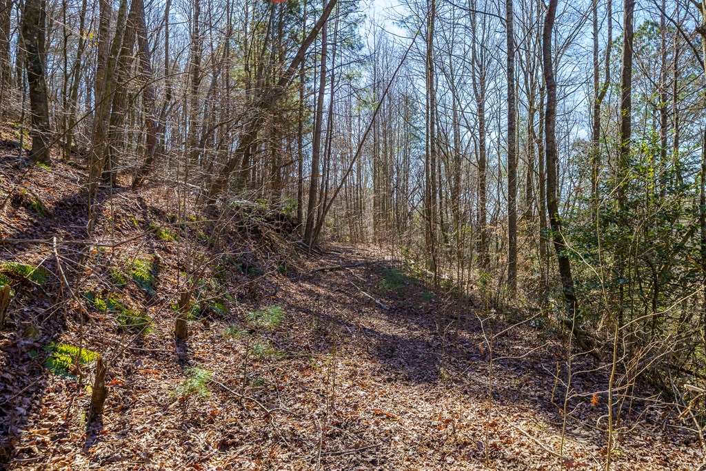 7589 Tails Creek Road Ellijay, GA 30540 - Photo 8 of 44