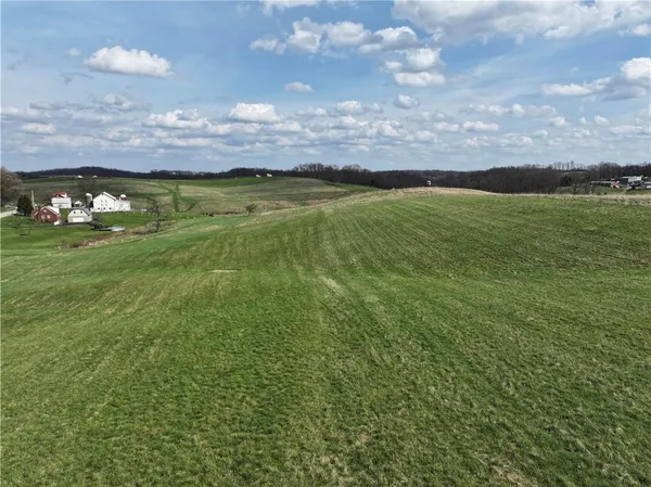 a view of a field of grass and trees
