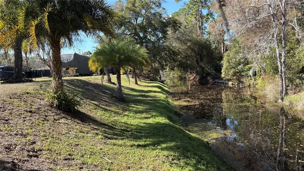 a view of a yard with trees