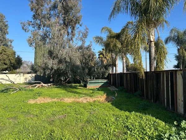 a view of a backyard with palm trees
